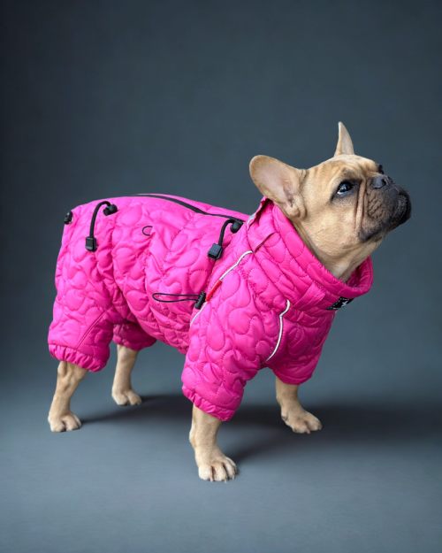Ciepłe ubranka dla psa Aliska Pink