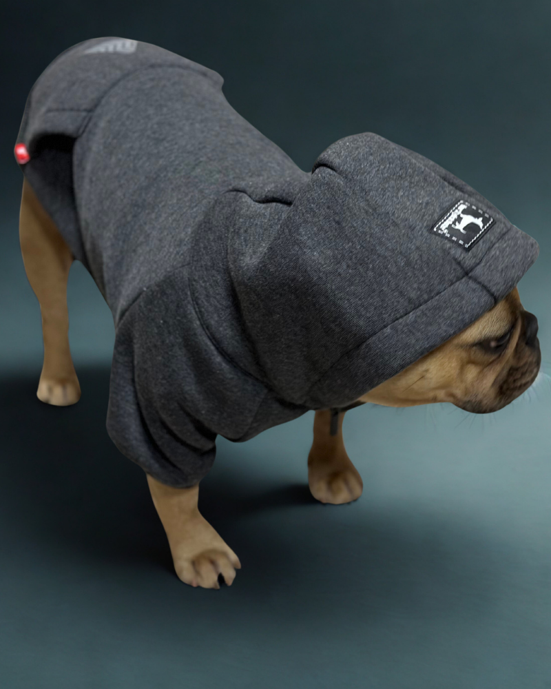 ubranko dla psa, Bluza dla psa LEKS FRB, sweter dla psa