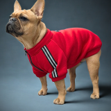Ciepły sweter dla psa Blaze Red