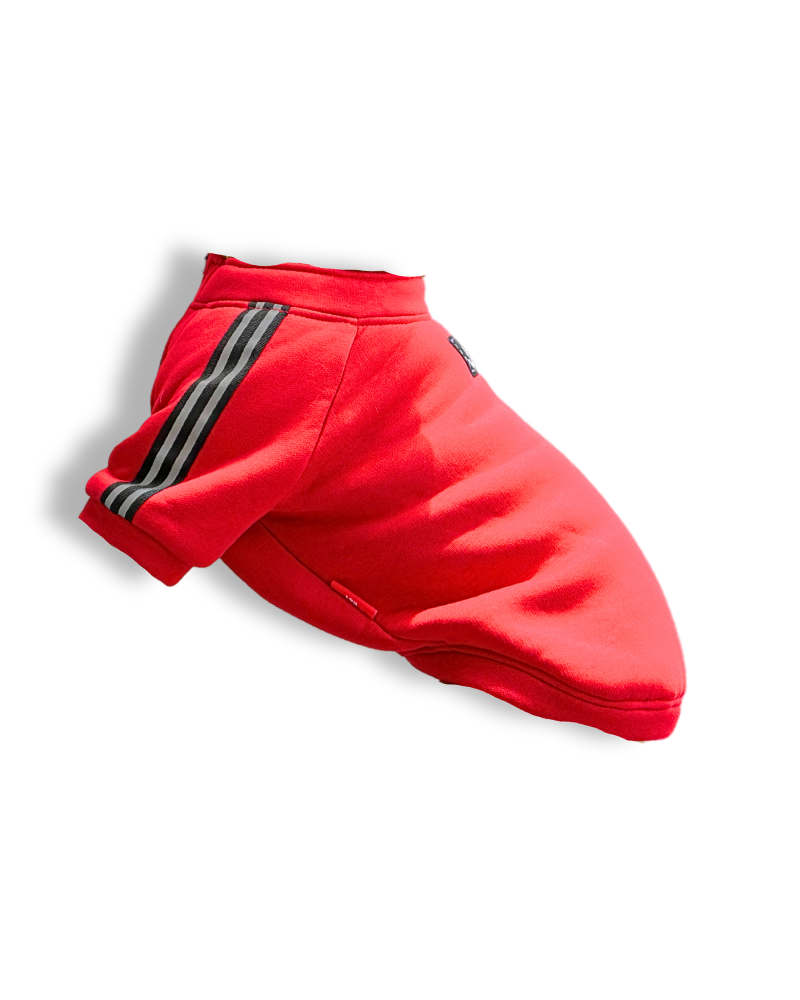 Ciepły sweter dla psa Blaze Red